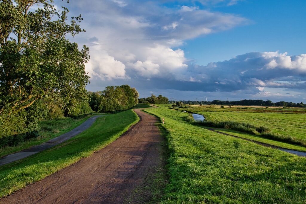 path, grass, dike-6514885.jpg